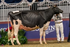 KVB07779-35470 KVB07779-35470