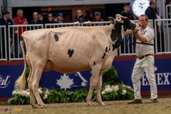 KVB07797-35478 KVB07797-35478