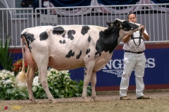 KVB07802-35481 KVB07802-35481