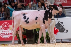 A106464-34250 A106464-34250