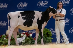 A106549-34271 A106549-34271