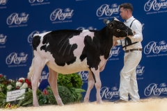 A106558-34272 A106558-34272