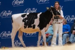 A106618-34277 A106618-34277