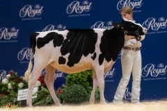 A106623-34278 A106623-34278