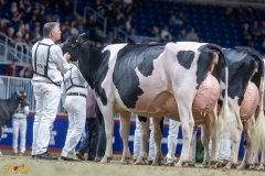 A109949-35729 A109949-35729