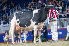 A109976-35732 A109976-35732