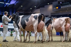 AR308498-35722 AR308498-35722