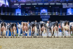 AR308500-35723 AR308500-35723