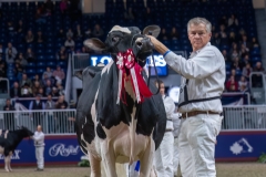 AR308524-35731 AR308524-35731