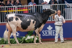 KVB08443-35700 KVB08443-35700