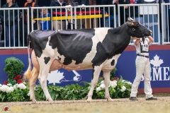 KVB08448-35701 KVB08448-35701