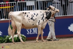 KVB08452-35702 KVB08452-35702