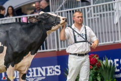 KVB08454-35703 KVB08454-35703