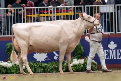 KVB08457-35704 KVB08457-35704