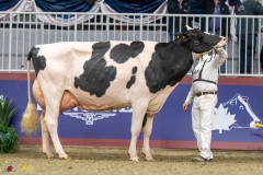 KVB08483-35712 KVB08483-35712