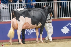 KVB08497-35715 KVB08497-35715