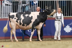 KVB08508-35718 KVB08508-35718