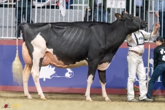 KVB08510-35719 KVB08510-35719