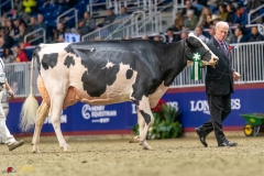 KVB08521-35736 KVB08521-35736