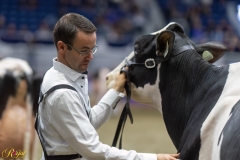 A108656-35414 A108656-35414