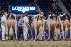 A108800-35443 A108800-35443