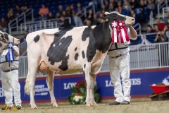 A108815-35446 A108815-35446