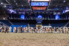 AR307823-35427 AR307823-35427