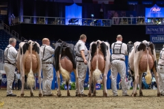 AR307831-35429 AR307831-35429