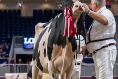 AR307889-35445 AR307889-35445