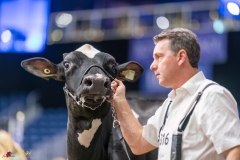 KVB07581-35374 KVB07581-35374