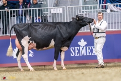 KVB07617-35382 KVB07617-35382