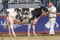 KVB07620-35384 KVB07620-35384