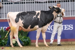 KVB07623-35386 KVB07623-35386