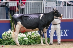 KVB07642-35396 KVB07642-35396