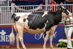 KVB07670-35406 KVB07670-35406