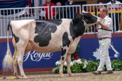 KVB07680-35410 KVB07680-35410