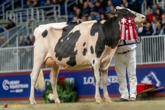 KVB07730-35449 KVB07730-35449