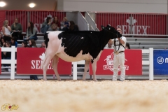 A107911-36041 A107911-36041