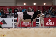 A107913-36042 A107913-36042