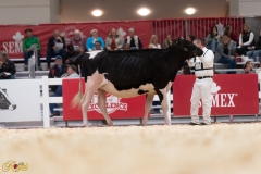 A107924-36043 A107924-36043