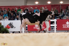 A107938-36045 A107938-36045