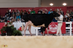 A107947-36046 A107947-36046