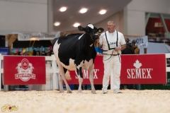 A107949-36047 A107949-36047