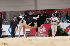 A107955-36048 A107955-36048