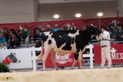 A107960-36049 A107960-36049