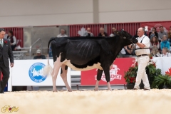 A107963-36050 A107963-36050