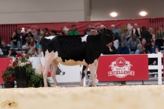 A107966-36052 A107966-36052