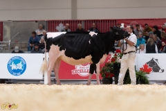 A107969-36053 A107969-36053