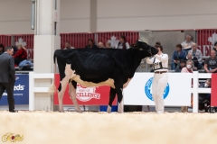 A107975-36054 A107975-36054