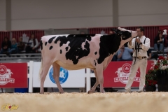 A108000-36057 A108000-36057